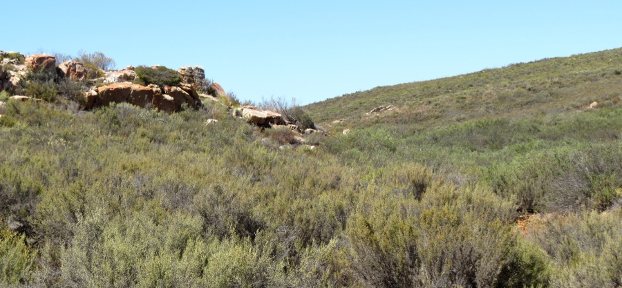 Commercial Property for Sale in Montagu Rural Western Cape